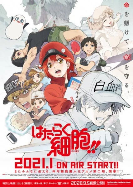 انمي Hataraku Saibou!! مترجم