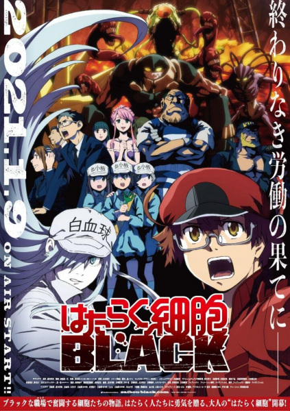 مشاهدة انيمي Hataraku Saibou Black (TV) الحلقة 6