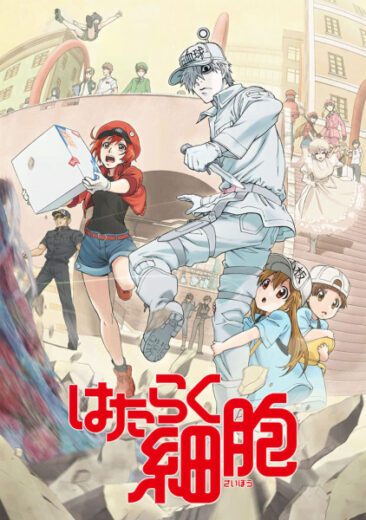 انمي Hataraku Saibou الحلقة 1